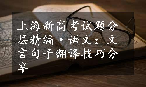 上海新高考试题分层精编·语文：文言句子翻译技巧分享