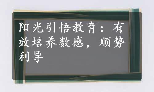 阳光引悟教育：有效培养数感，顺势利导