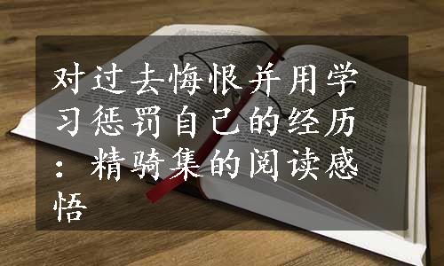 对过去悔恨并用学习惩罚自己的经历：精骑集的阅读感悟