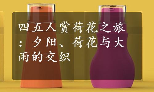 四五人赏荷花之旅：夕阳、荷花与大雨的交织