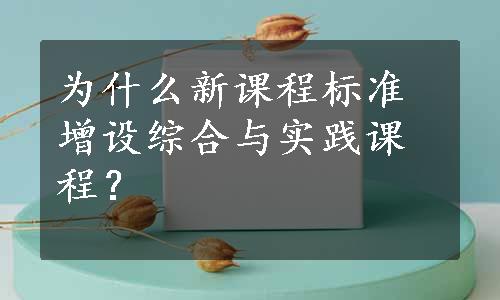 为什么新课程标准增设综合与实践课程？