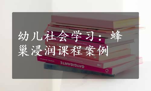 幼儿社会学习：蜂巢浸润课程案例