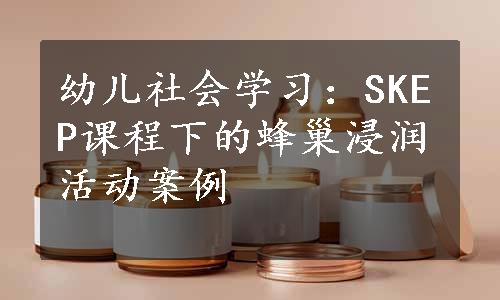 幼儿社会学习：SKEP课程下的蜂巢浸润活动案例