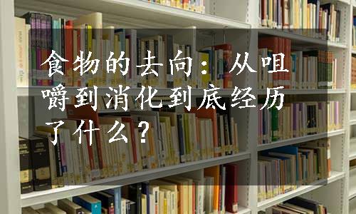 食物的去向：从咀嚼到消化到底经历了什么？