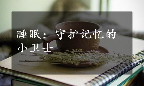 睡眠：守护记忆的小卫士