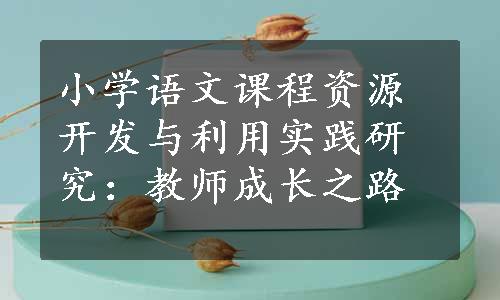 小学语文课程资源开发与利用实践研究：教师成长之路