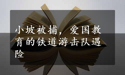 小坡被捕，爱国教育的铁道游击队遇险