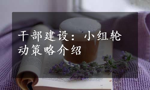 干部建设：小组轮动策略介绍