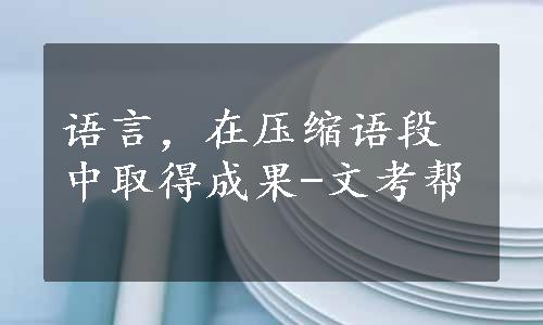 语言，在压缩语段中取得成果-文考帮