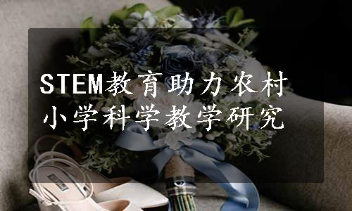 STEM教育助力农村小学科学教学研究