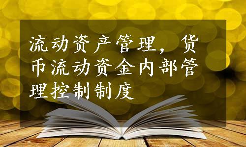 流动资产管理，货币流动资金内部管理控制制度