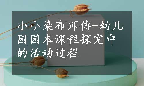 小小染布师傅-幼儿园园本课程探究中的活动过程