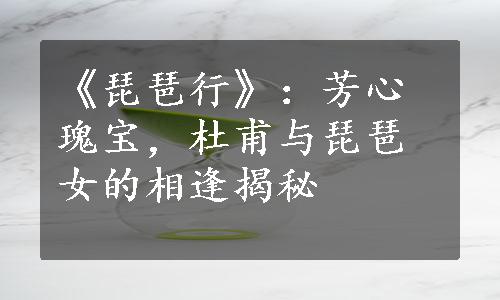 《琵琶行》：芳心瑰宝，杜甫与琵琶女的相逢揭秘