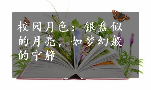 校园月色：银盘似的月亮，如梦幻般的宁静