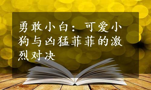 勇敢小白：可爱小狗与凶猛菲菲的激烈对决