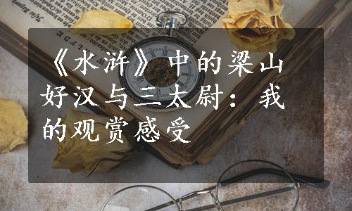 《水浒》中的梁山好汉与三太尉：我的观赏感受