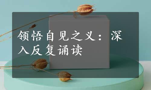 领悟自见之义：深入反复诵读