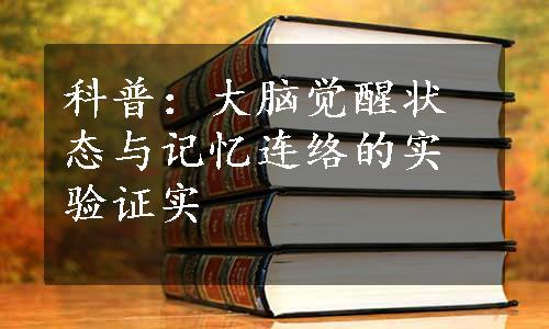 科普：大脑觉醒状态与记忆连络的实验证实