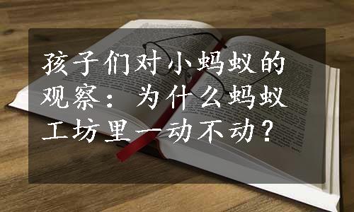 孩子们对小蚂蚁的观察：为什么蚂蚁工坊里一动不动？