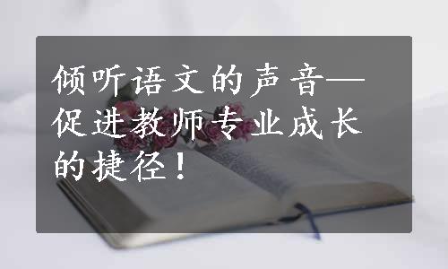 倾听语文的声音—促进教师专业成长的捷径！