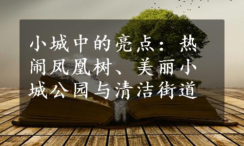 小城中的亮点：热闹凤凰树、美丽小城公园与清洁街道