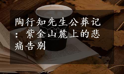 陶行知先生公葬记：紫金山麓上的悲痛告别