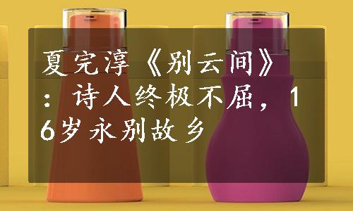 夏完淳《别云间》：诗人终极不屈，16岁永别故乡