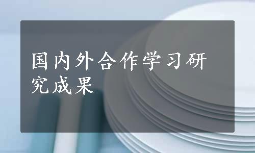 国内外合作学习研究成果