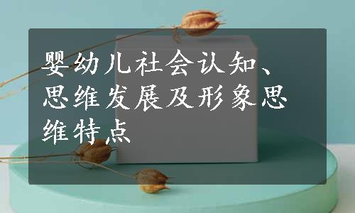 婴幼儿社会认知、思维发展及形象思维特点