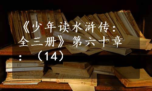 《少年读水浒传：全三册》第六十章：（14）