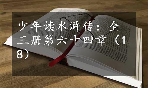 少年读水浒传：全三册第六十四章（18）
