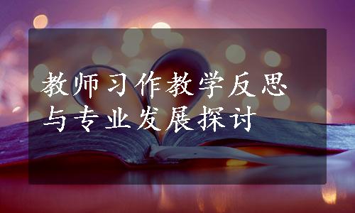 教师习作教学反思与专业发展探讨