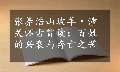 张养浩山坡羊·潼关怀古赏读：百姓的兴衰与存亡之苦