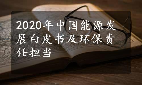 2020年中国能源发展白皮书及环保责任担当