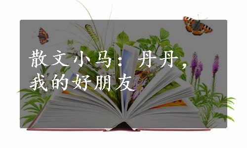 散文小马：丹丹，我的好朋友