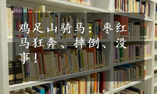 鸡足山骑马：枣红马狂奔、摔倒、没事！