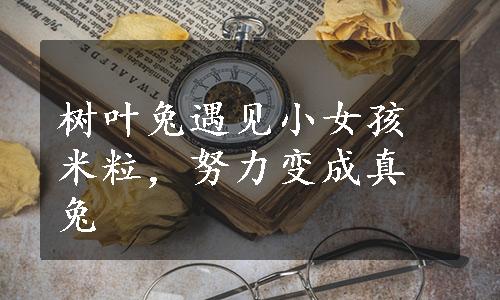 树叶兔遇见小女孩米粒，努力变成真兔