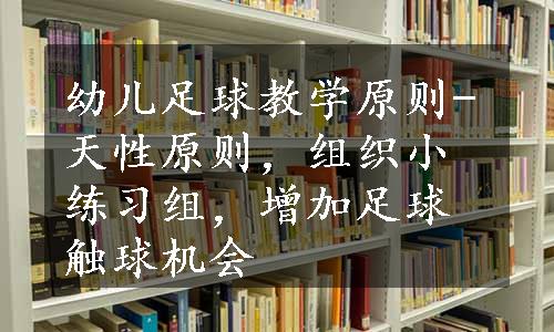 幼儿足球教学原则-天性原则，组织小练习组，增加足球触球机会