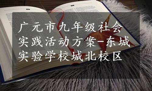 广元市九年级社会实践活动方案-东城实验学校城北校区