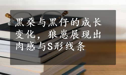 黑桑与黑仔的成长变化，狼崽展现出肉感与S形线条