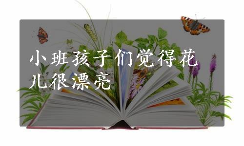 小班孩子们觉得花儿很漂亮