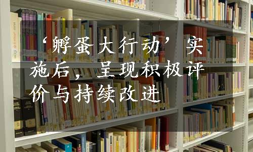 ‘孵蛋大行动’实施后，呈现积极评价与持续改进