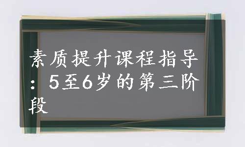 素质提升课程指导：5至6岁的第三阶段