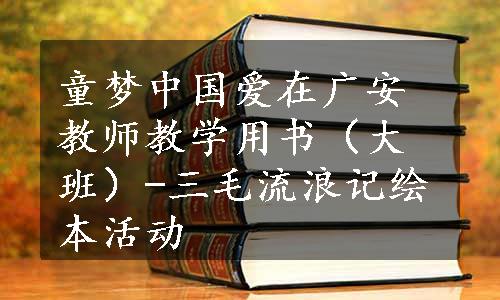 童梦中国爱在广安教师教学用书（大班）-三毛流浪记绘本活动