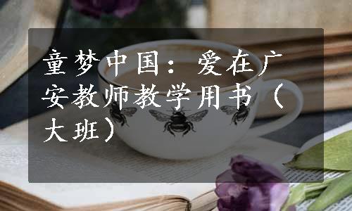 童梦中国：爱在广安教师教学用书（大班）