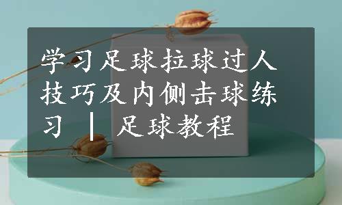 学习足球拉球过人技巧及内侧击球练习 | 足球教程