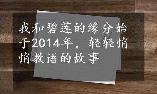 我和碧莲的缘分始于2014年，轻轻悄悄教语的故事