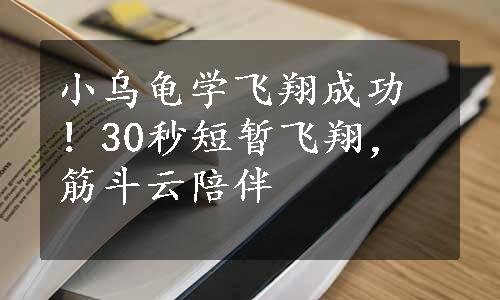 小乌龟学飞翔成功！30秒短暂飞翔，筋斗云陪伴