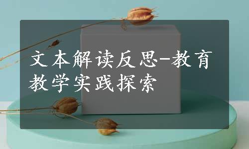 文本解读反思-教育教学实践探索