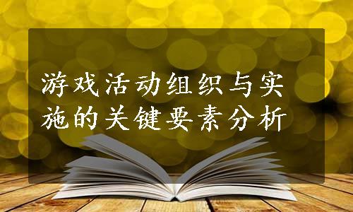 游戏活动组织与实施的关键要素分析